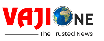 VajiOne Logo