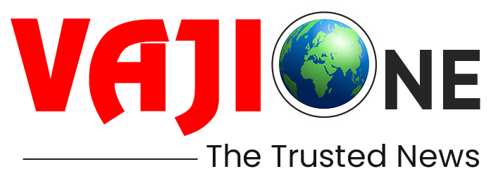 VajiOne Logo